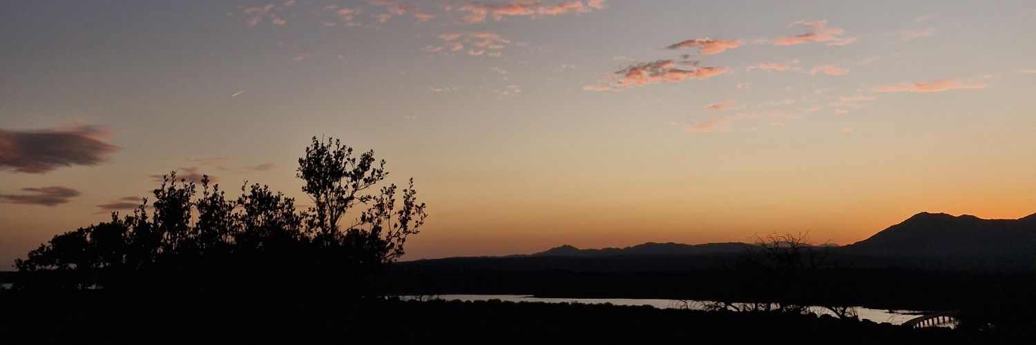 piiskipisk's profile banner image