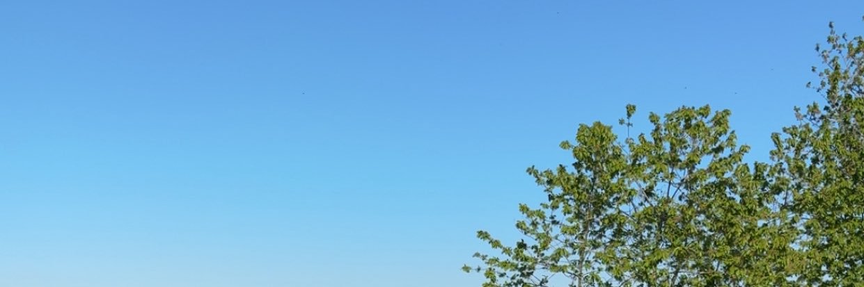 gallasshole's profile banner image