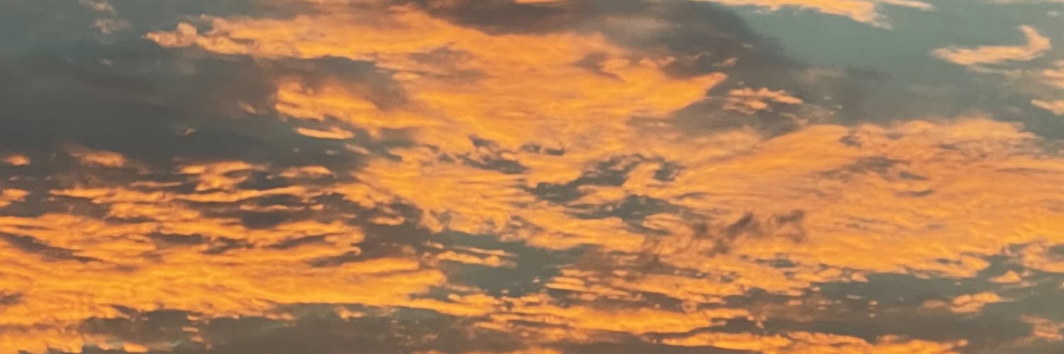 aleisyaiman's profile banner image