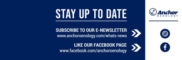 AnchorOenology Profile Banner