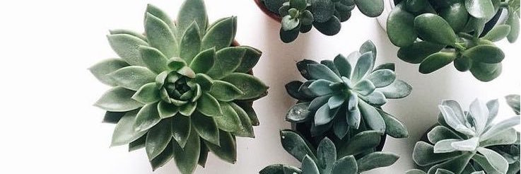 JohniahHarvey's profile banner image