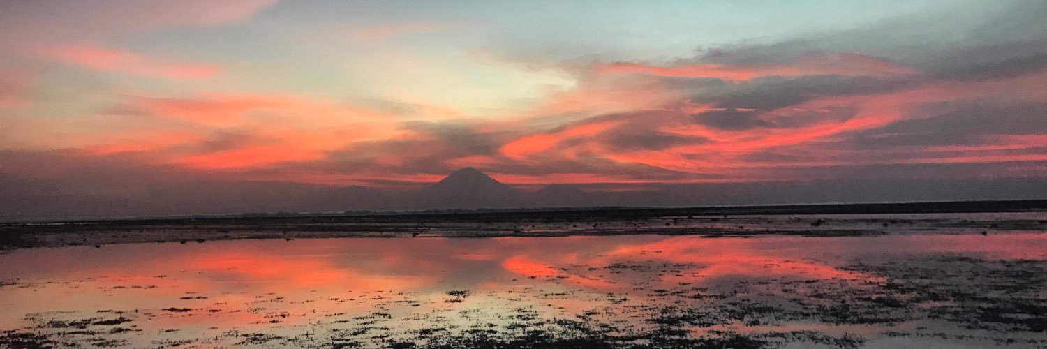 philippawildig's profile banner image