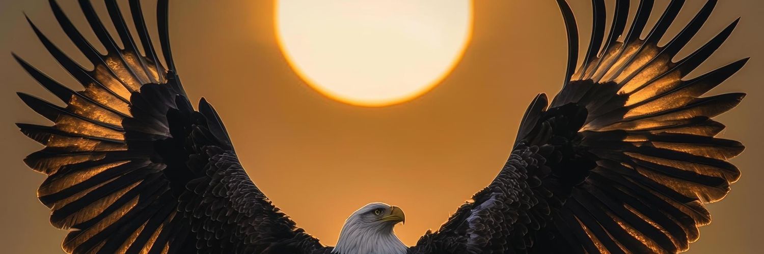 pmtocm's profile banner image
