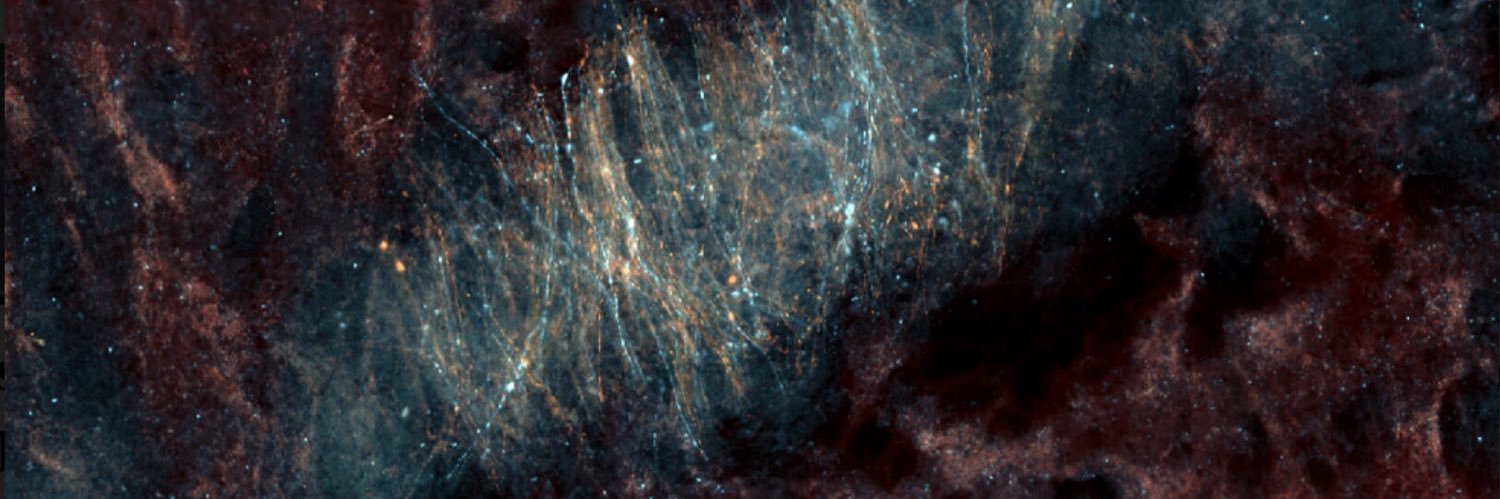 Kavli Neuroscience's banner