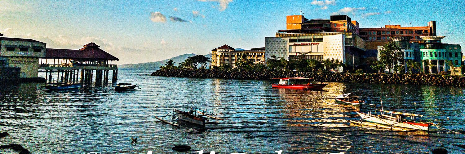 the councelor banner