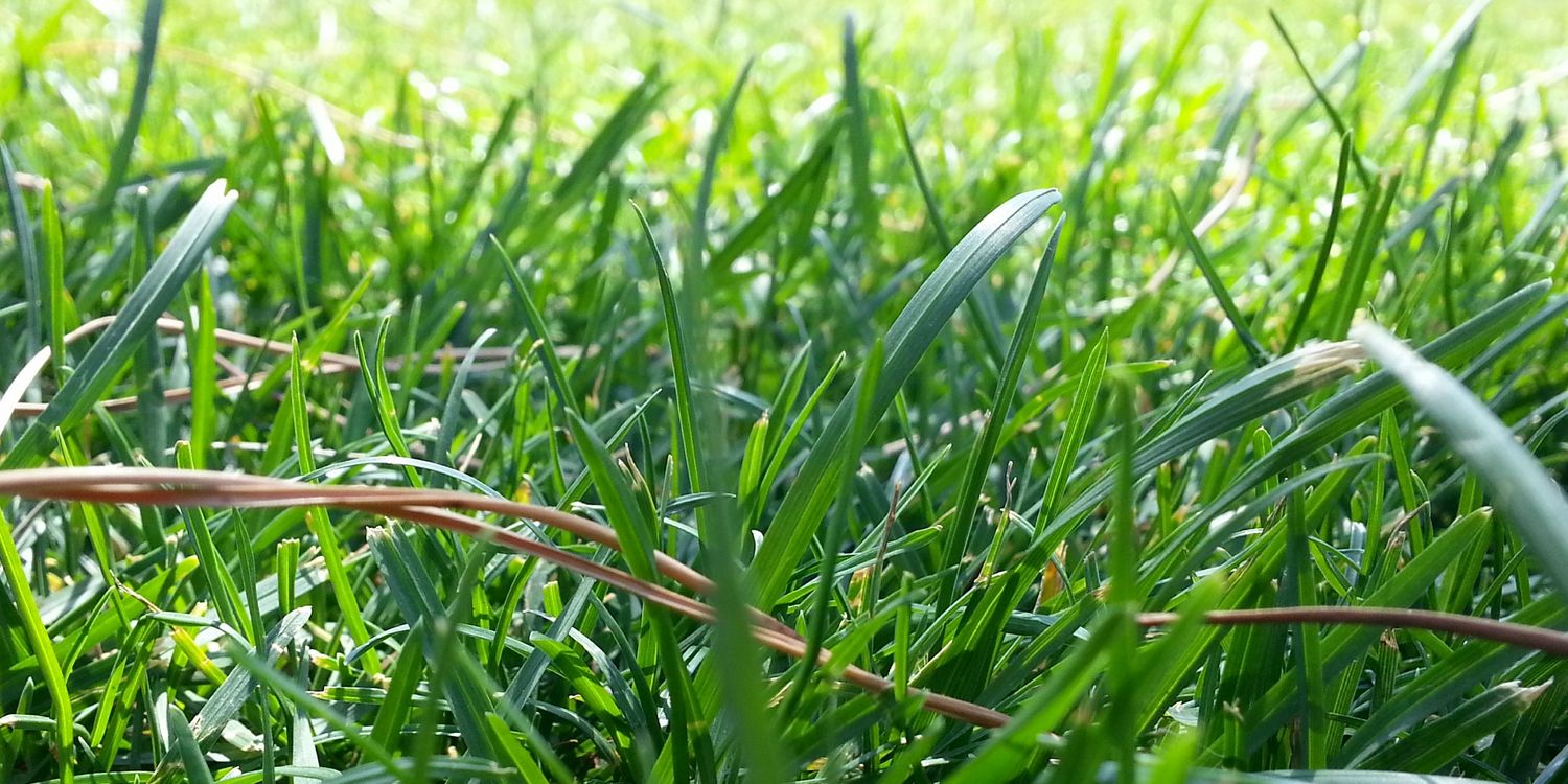 AntoniodeMiguel's profile banner image