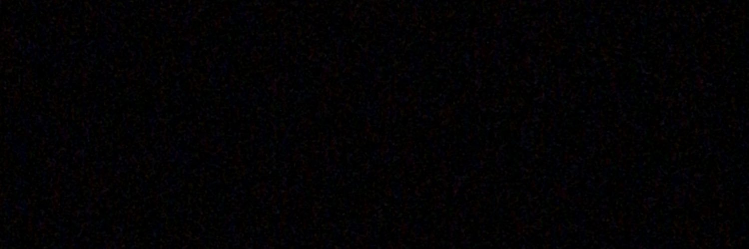 Bushra banner