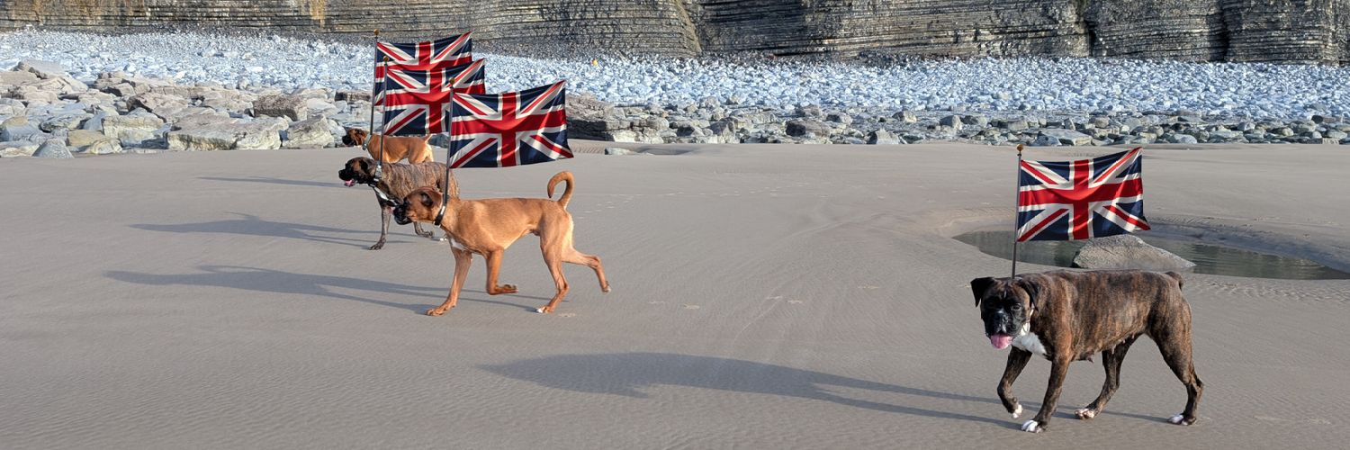 Simon 🏴󠁧󠁢󠁷󠁬󠁳󠁿 banner