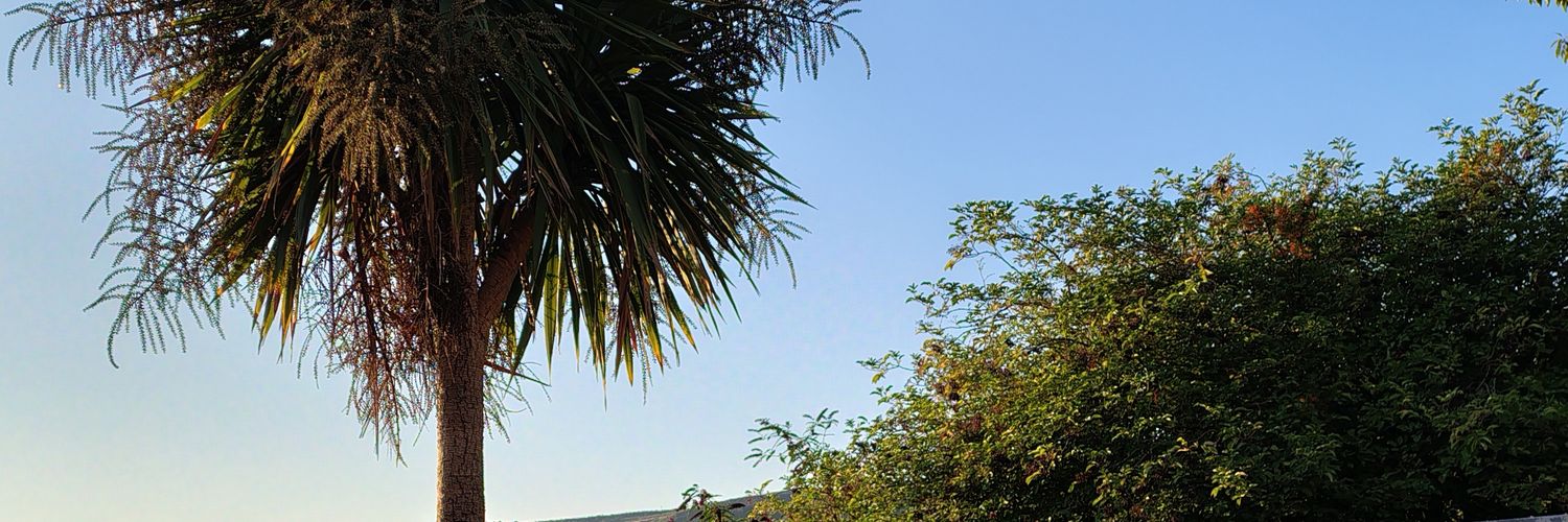 ReskyPanda's profile banner image