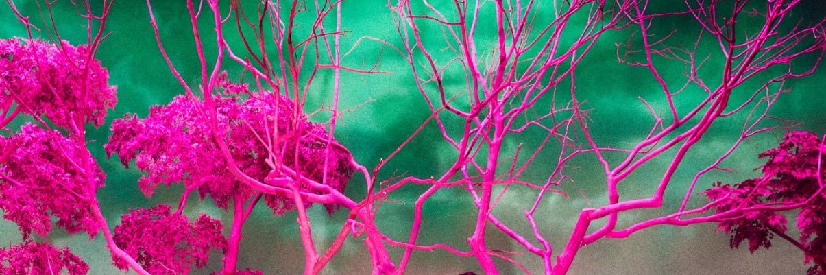 Liv saw TxT ♡ banner