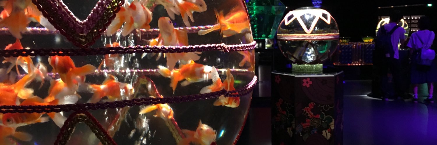 tinplatemushro1's profile banner image