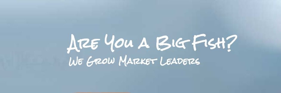 BigFishResults's profile banner image