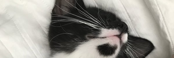 alottalottos Profile Banner