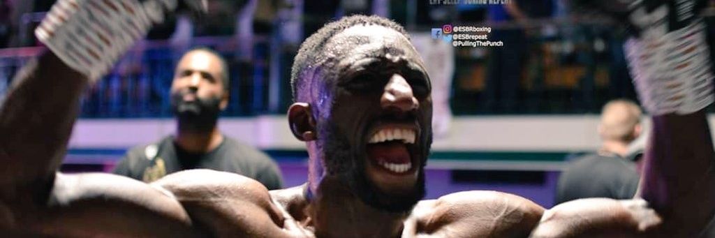 Pulling the Punch banner