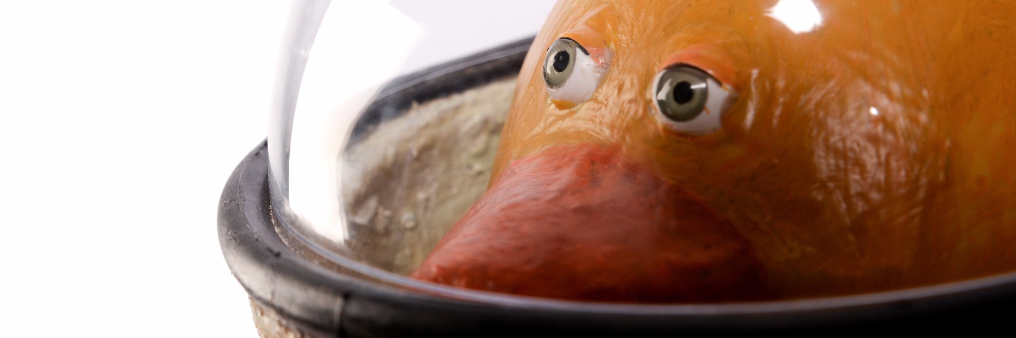 FredericNoens's profile banner image