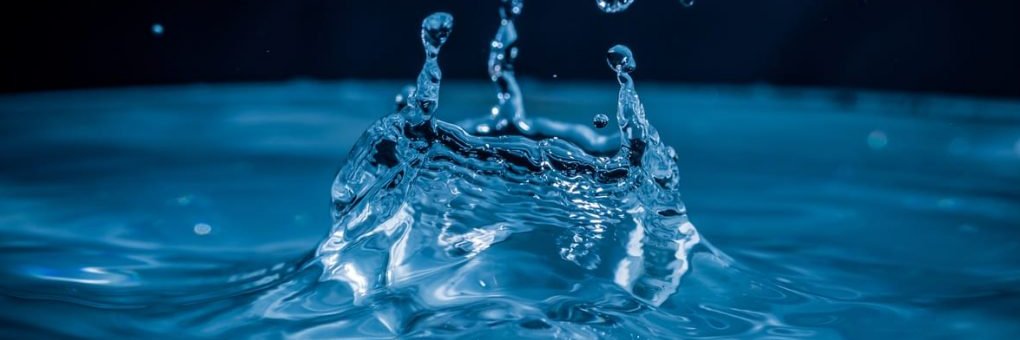 GlWS Students & Young Researchers banner