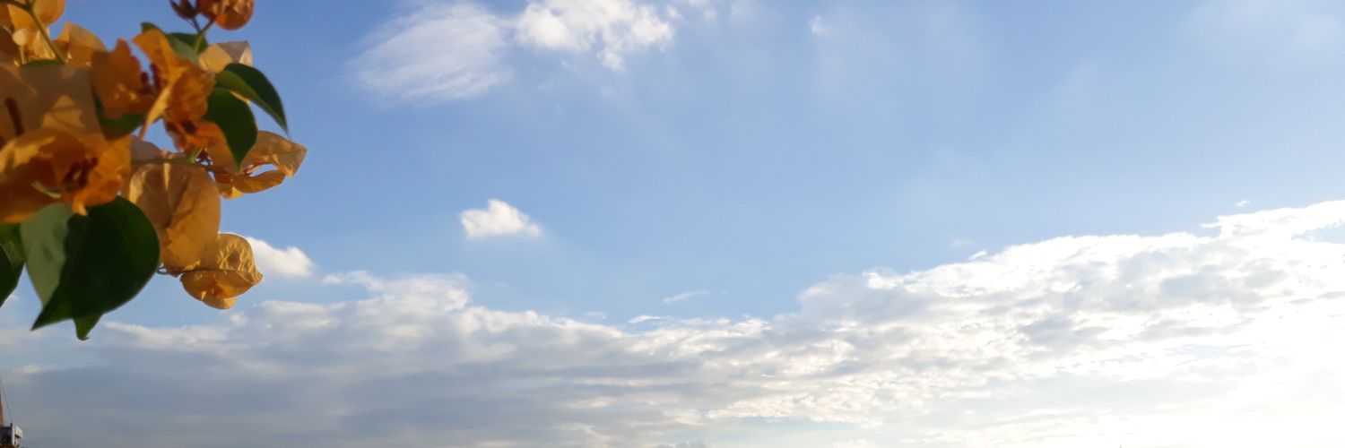 Arexkis's profile banner image