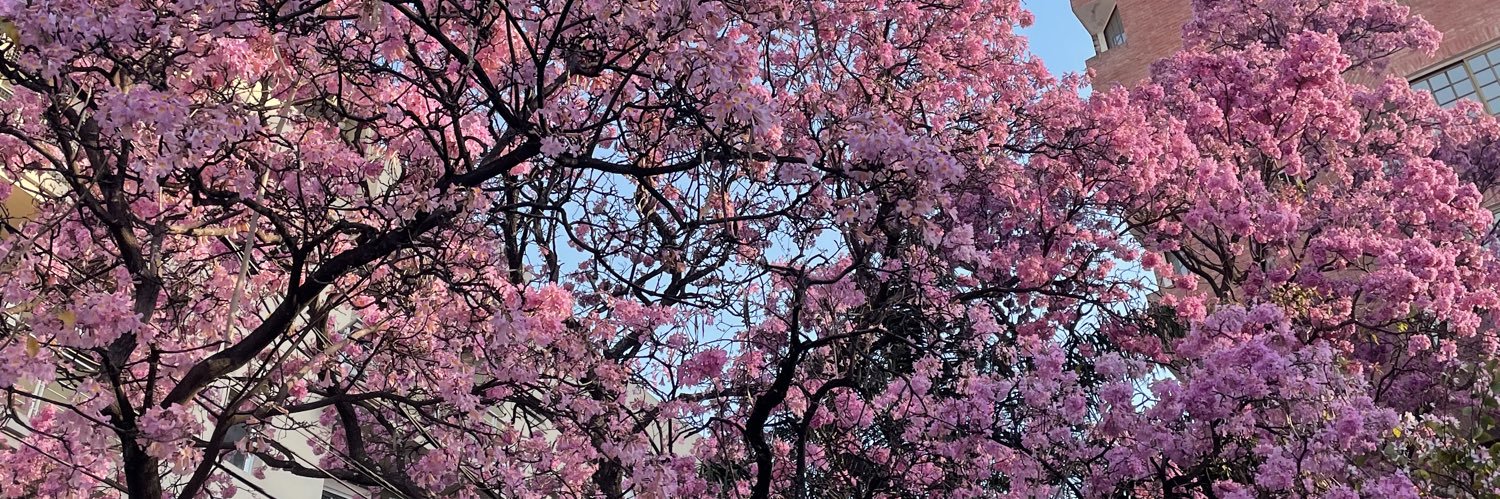 valentinarkive's profile banner image