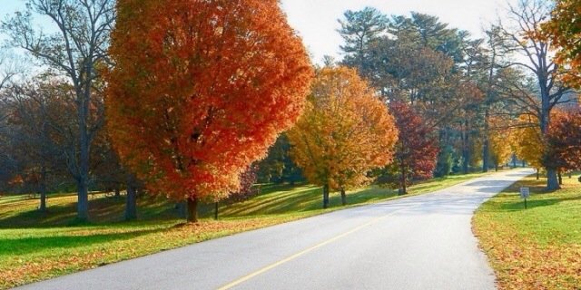 MekkalaB's profile banner image