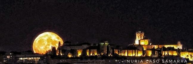 Núria Ca.Sa. banner
