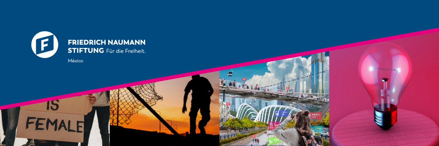 Fundación Friedrich Naumann México banner