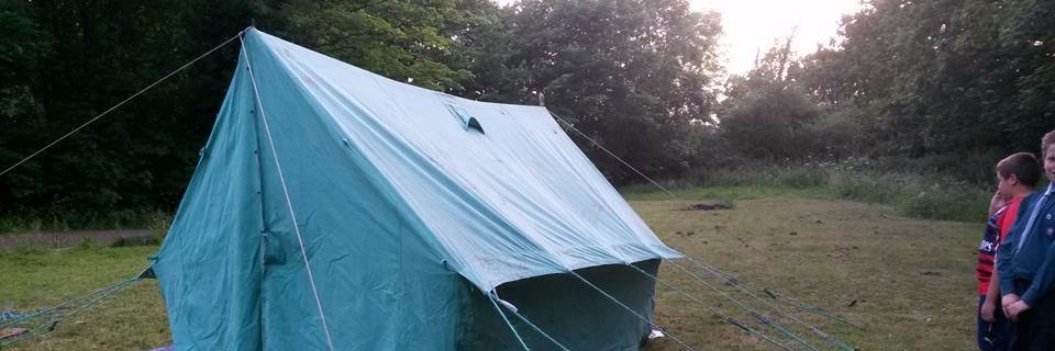 1st Theydon Garnon banner