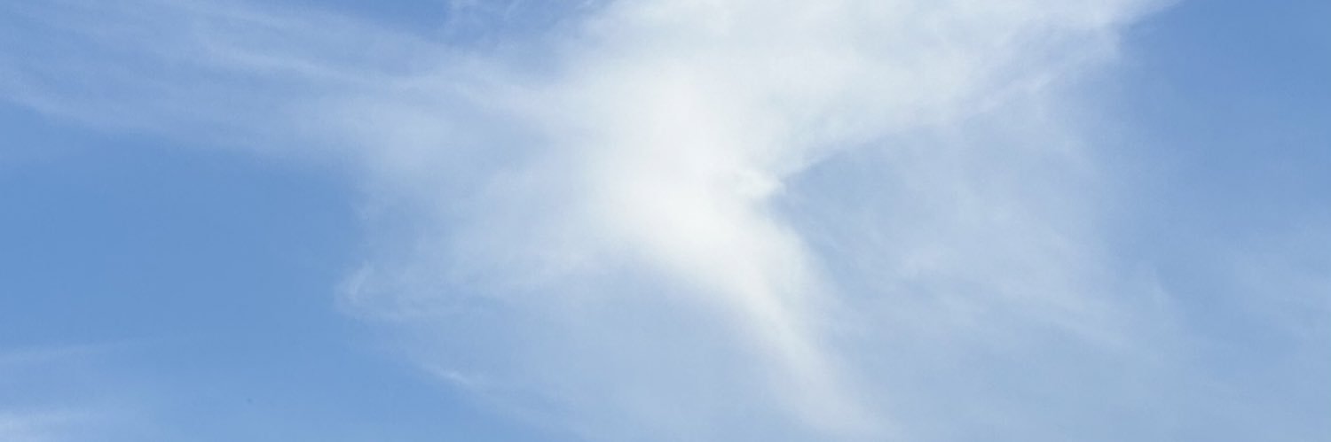 Їкселик banner