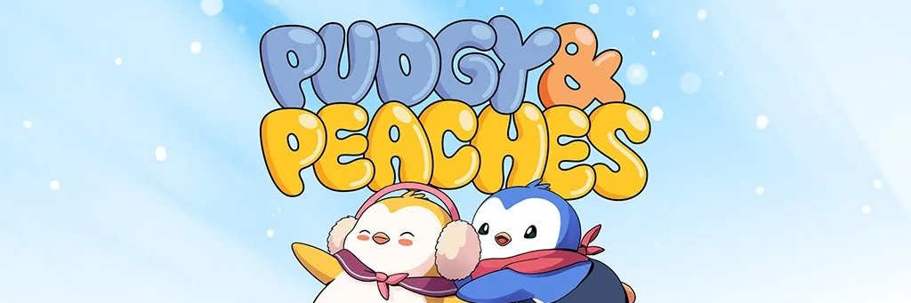 PeachesPenguGal's profile banner image