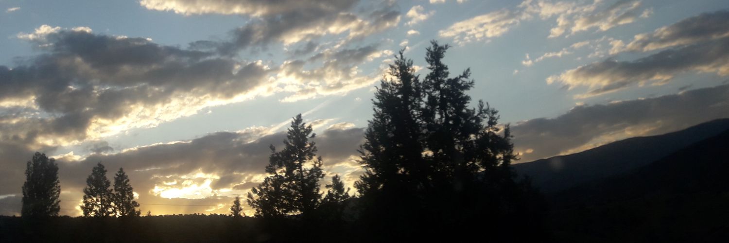 melike8894's profile banner image