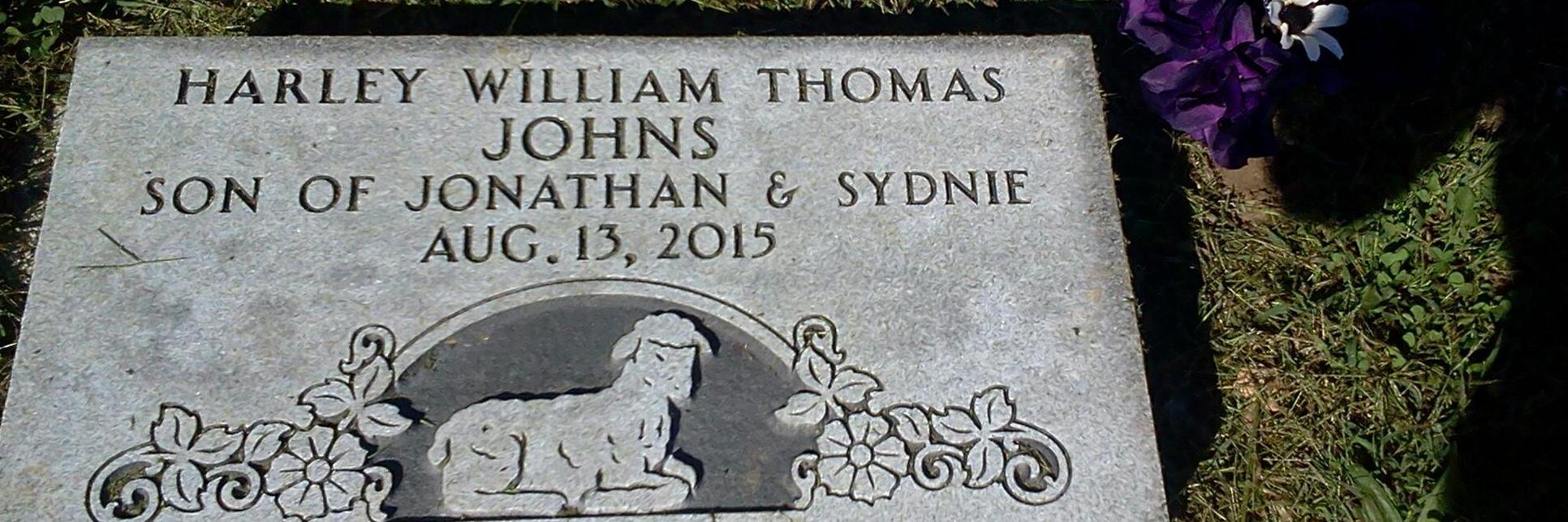 sydjhall's profile banner image