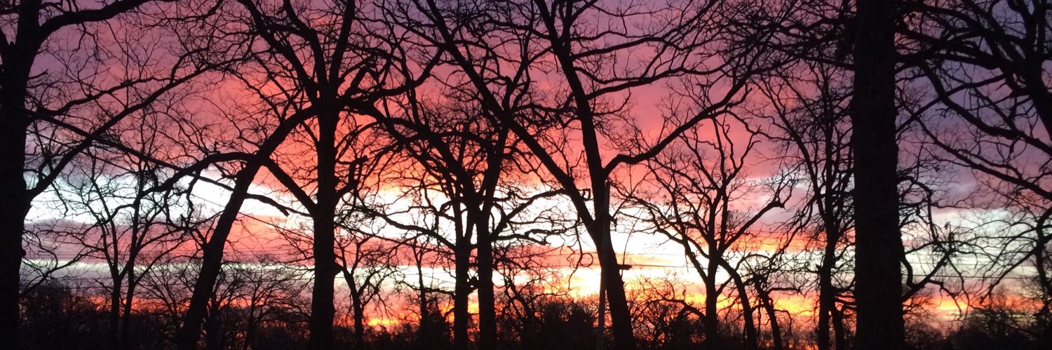 Brandon Hausen banner