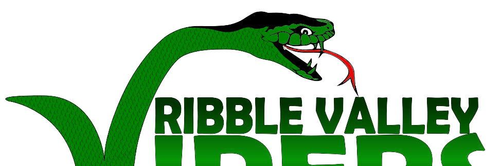 Ribble Valley Vipers banner