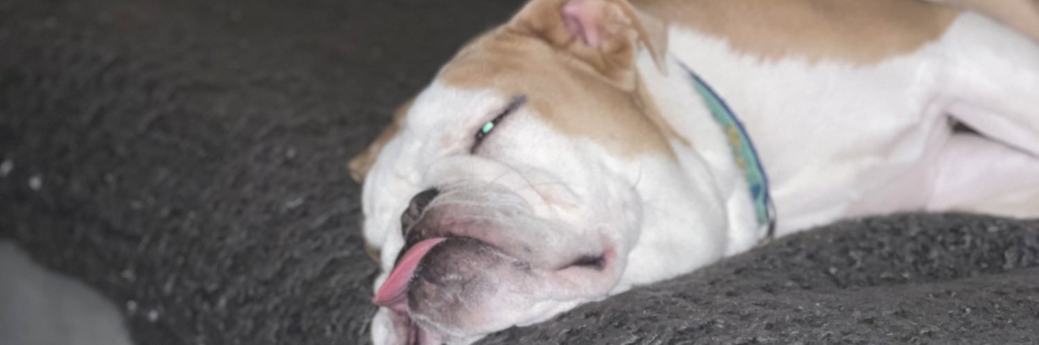 BillyKepnerPS's profile banner image