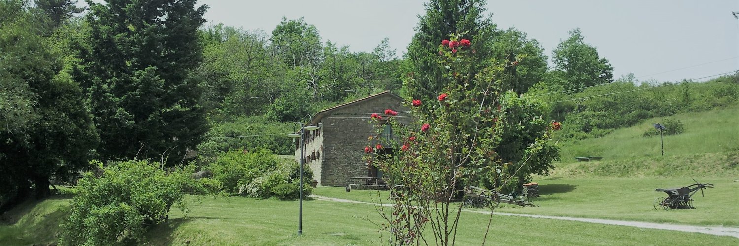 Praticino's profile banner image