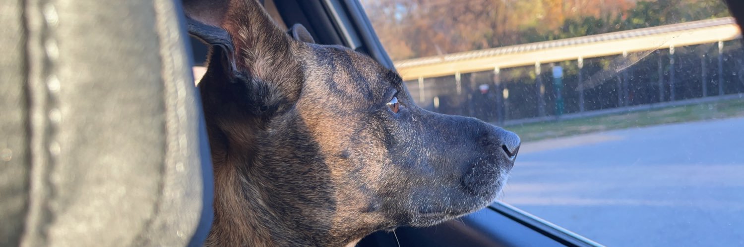 jani_ann's profile banner image