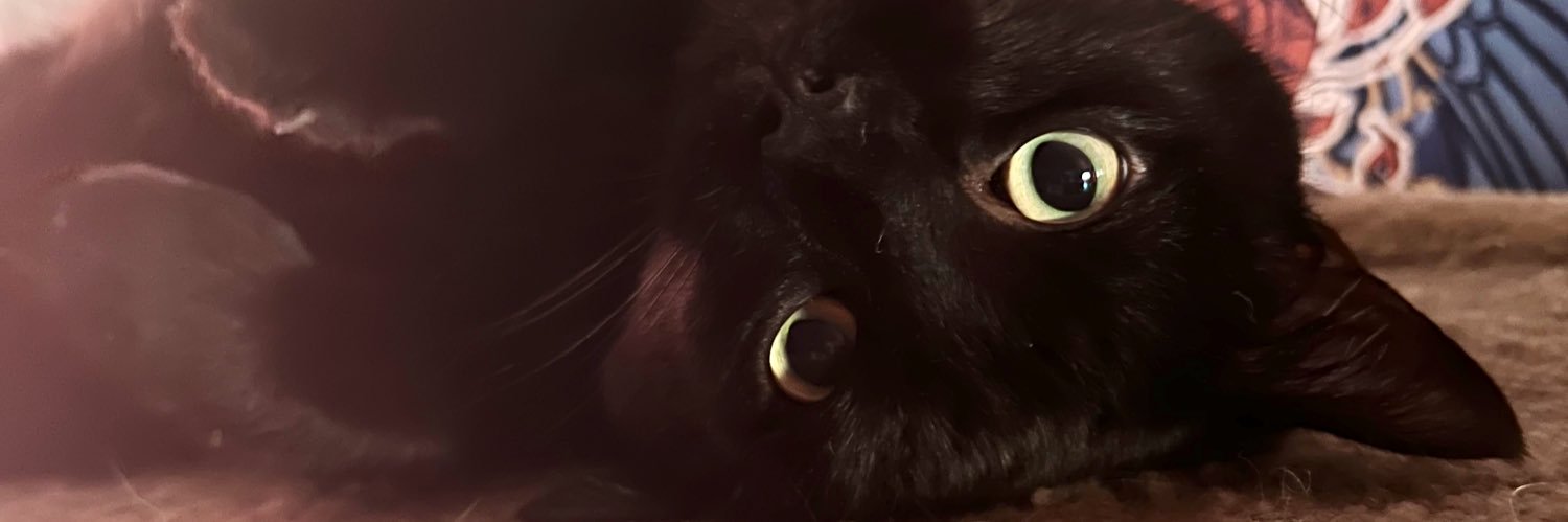 anraleth's profile banner image