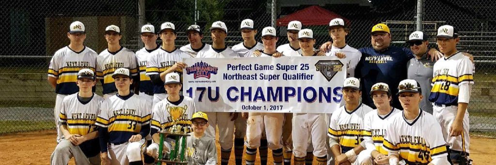 NextLevelBaseball's banner