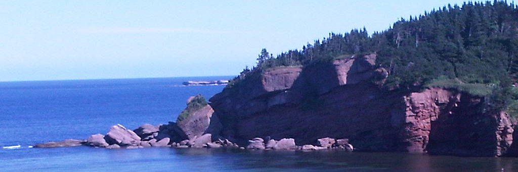 Evan3Wallace's profile banner image
