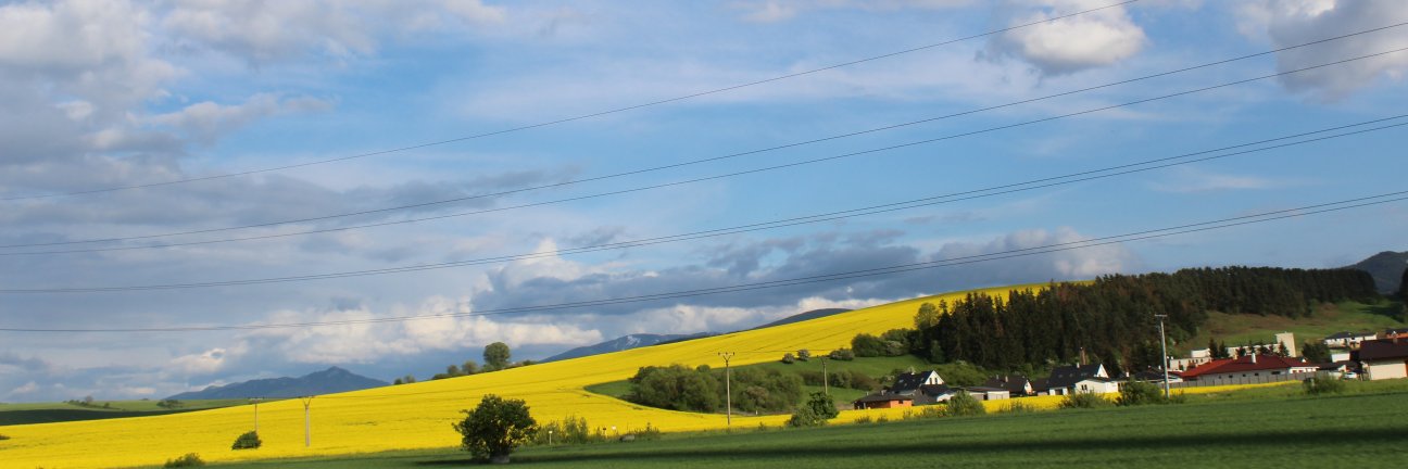 Loriana Sekarski banner