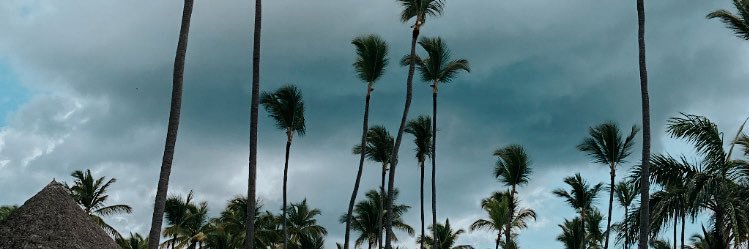 ritss98's profile banner image
