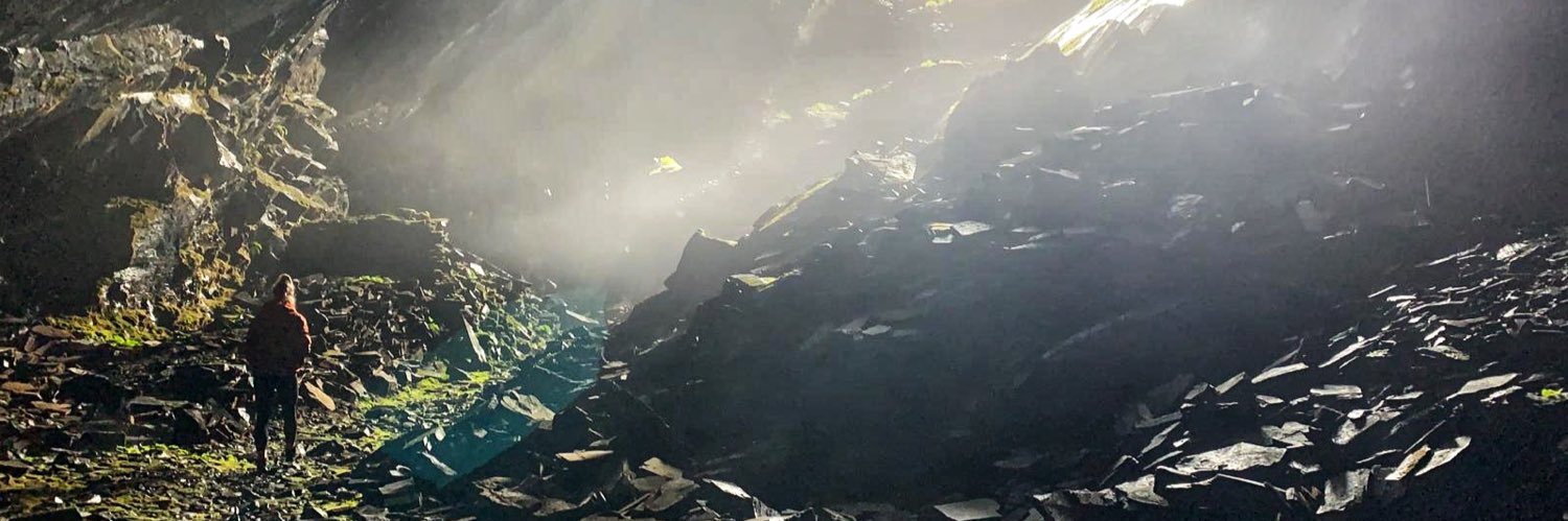 Dr Michaela James banner