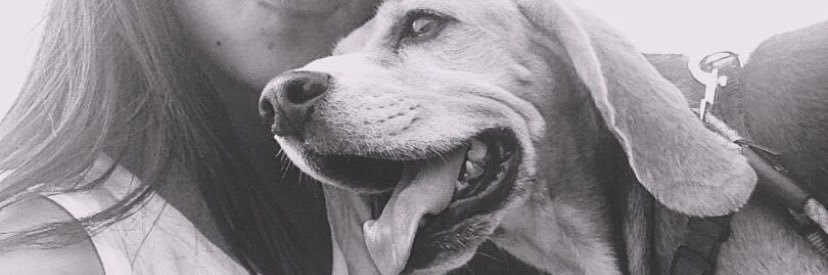 SofiaSa_9's profile banner image