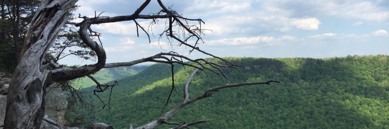 emmitabanks's profile banner image