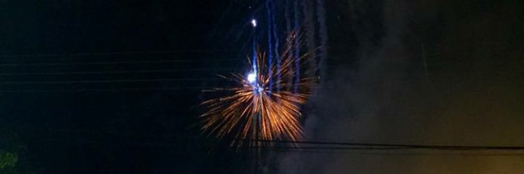 AriadnaEmilly's profile banner image