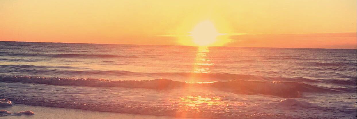 taystines's profile banner image
