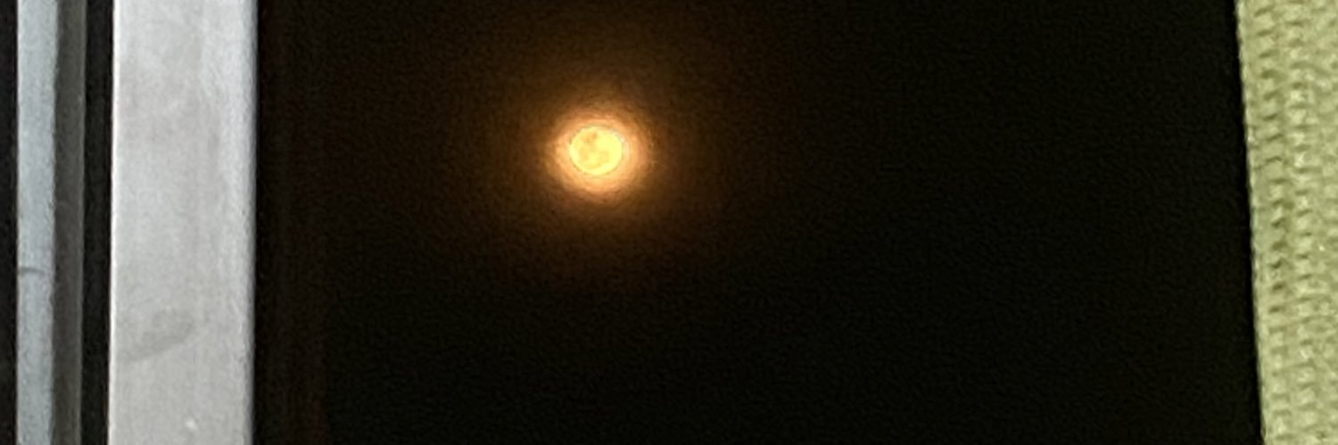realofake12's profile banner image