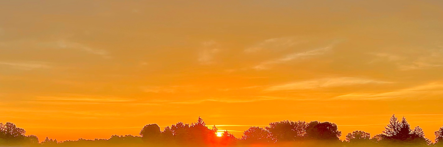 2952Andrew's profile banner image