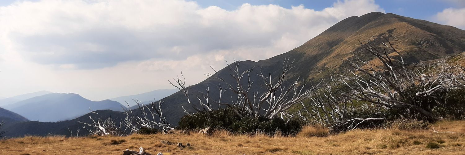 isabel_cornes's profile banner image