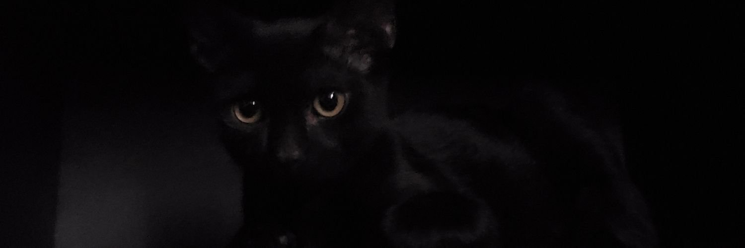 AntonMtz's profile banner image
