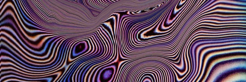 modestmagnolia's profile banner image